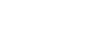 logo bnp